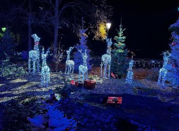 Marché de Noël  féérique à Thonon-les-Bains !